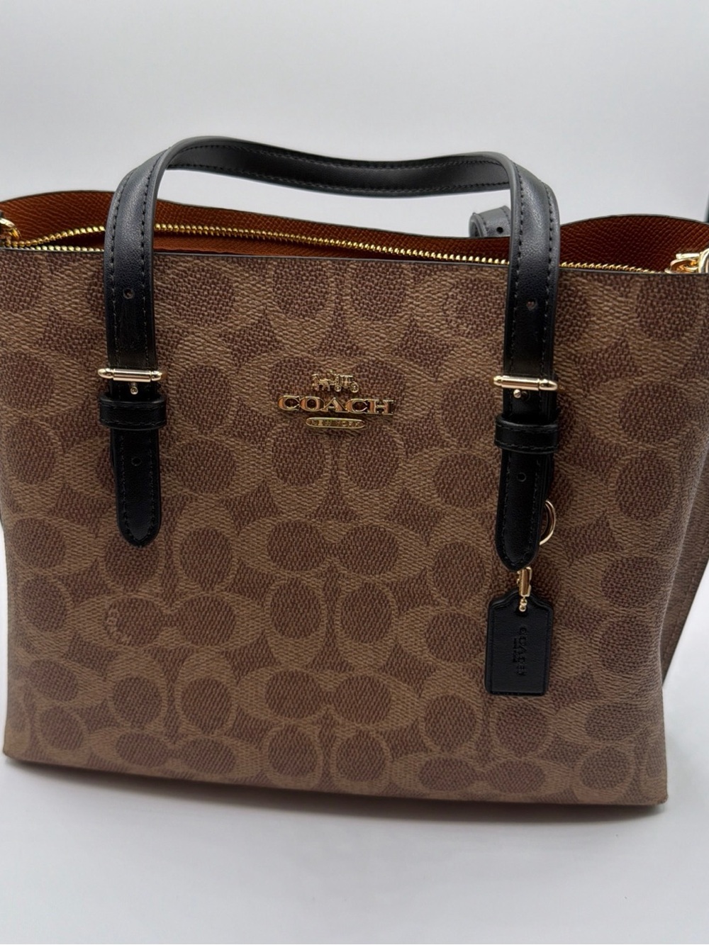 Coach Mollie Tote 25 in Signature Canvas